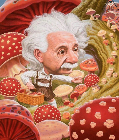 мухоморный трип в крыму